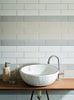 Cepac Porcelain Mosaic Tiles, Frost Proof/Acid Resistant, Suburbia, Multi-color, 2-1/2″ × 9″