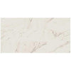 Marazzi Color Body Porcelain, Floor and Wall Tile, Classentino Marble™, Multi-Color