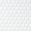 Cepac Porcelain Mosaic Tiles, Frost Proof/Acid Resistant, Cirque, Multi-color, 3/4″ Penny Round