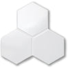 Cepac Porcelain Mosaic Tiles, Frost Proof/Acid Resistant, Rokka, Multi-color, 4″ Hexagon