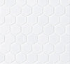 Cepac Porcelain Mosaic Tiles, Frost Proof/Acid Resistant, Retro 1″ Hexagon, Multi-color, 1″ Hexagon