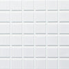 Cepac Porcelain Mosaic Tiles, Frost Proof/Acid Resistant, Quad, Multi-color, 1″ x 1″