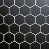 Cepac Porcelain Mosaic Tiles, Frost Proof/Acid Resistant, Retro, Multi-color, 2″ Hexagon