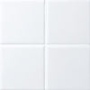 Cepac Porcelain Mosaic Tiles, Frost Proof/Acid Resistant, Octagon & Field, Multi-color, 4″ x 4″