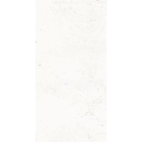 Elysium Tiles, Porcelain Tile, Pure Carrara, Multi-color, Multi-size