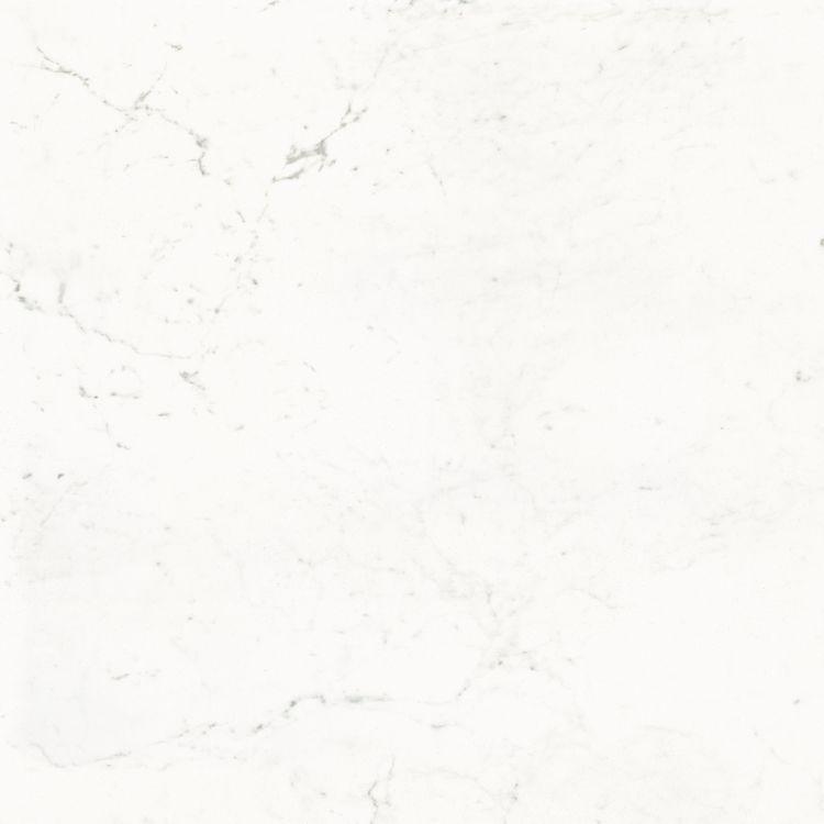 Elysium Tiles, Porcelain Tile, Pure Carrara, Multi-color, Multi-size