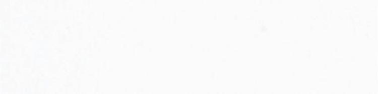 Elysium Tiles, Porcelain Tile, Poland White Polished, Multi-color, Multi-size