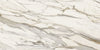 FORTE, Porcelain Slab, Marmo Inspired Collection, Calacatta Borghini, 126" x 63"