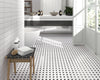DUNE Mosaics, Porcelanico, Oxford, Multi-Color, 11.6″ x 11.6″